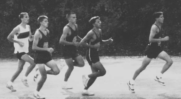 Fitzpatrick, Schorer, Hutchinson, Robinson