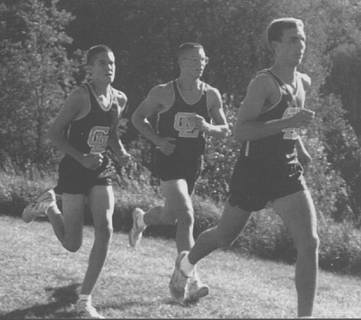 Knowlton, Farman, Eichelberger